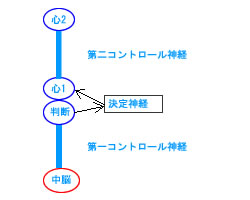 図：コントロール神経