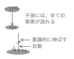 磁素場:図３